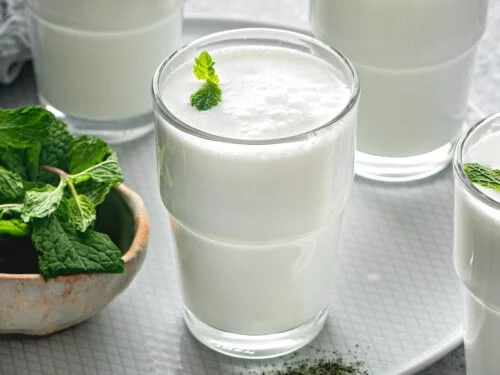 Ayran Milk